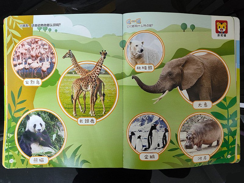 Little Animal Keeper