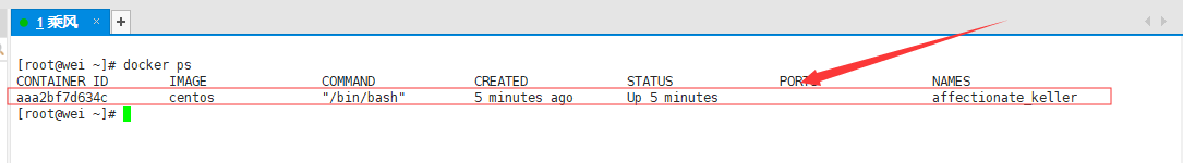 List Docker containers