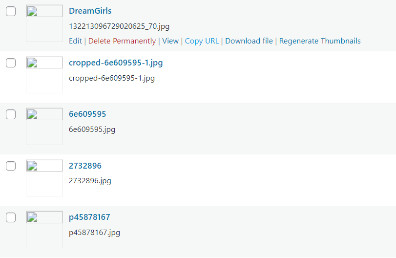 Broken media library after deletion