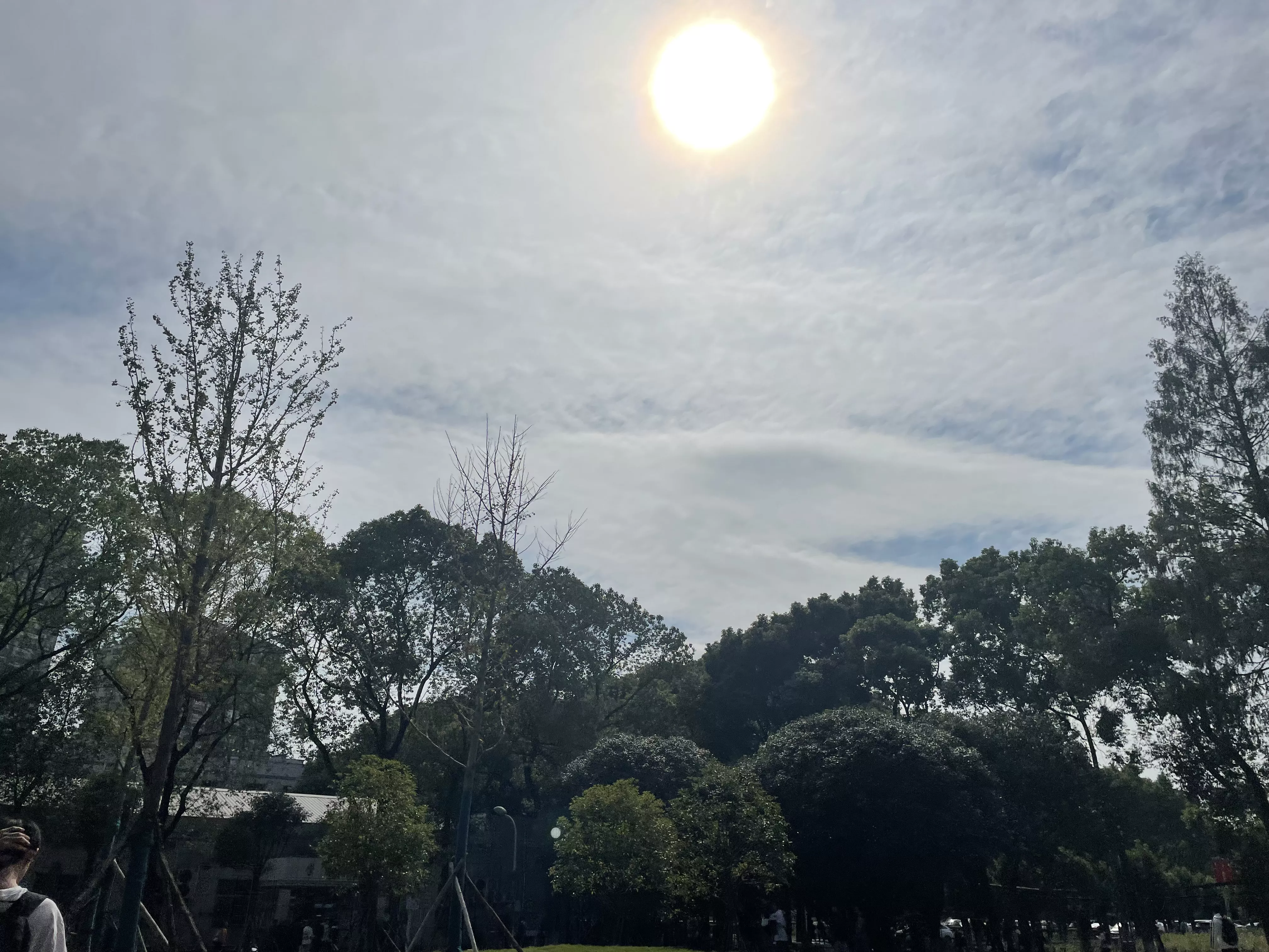 Campus view