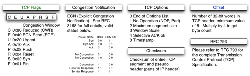 TCP header fields