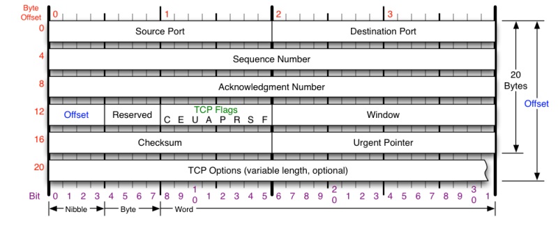 TCP header format