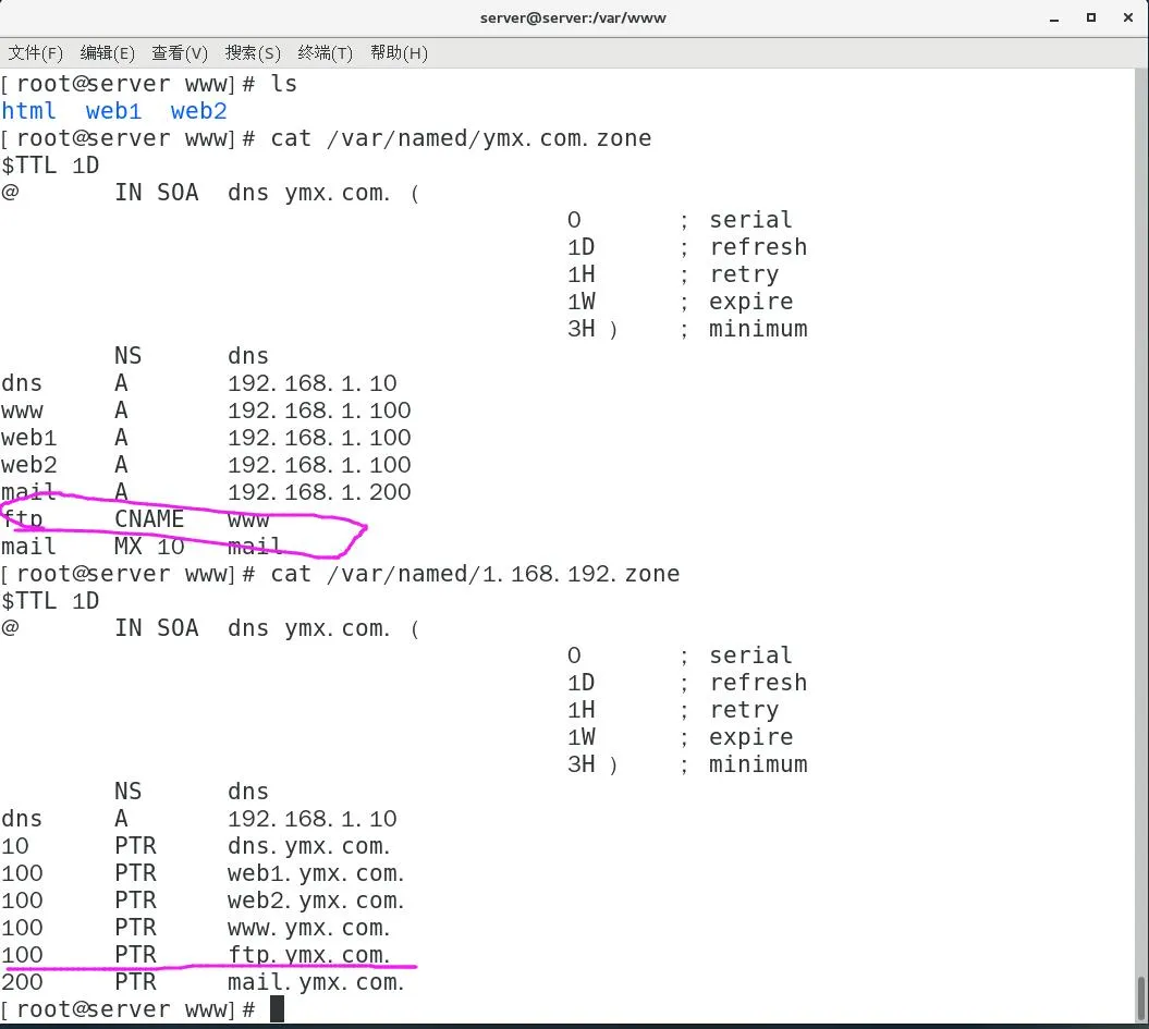 dns record screenshot