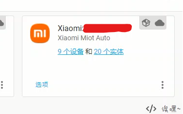 Detected Xiaomi devices