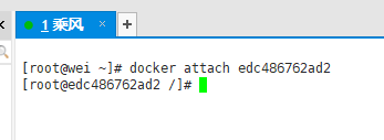 Attach to a running container