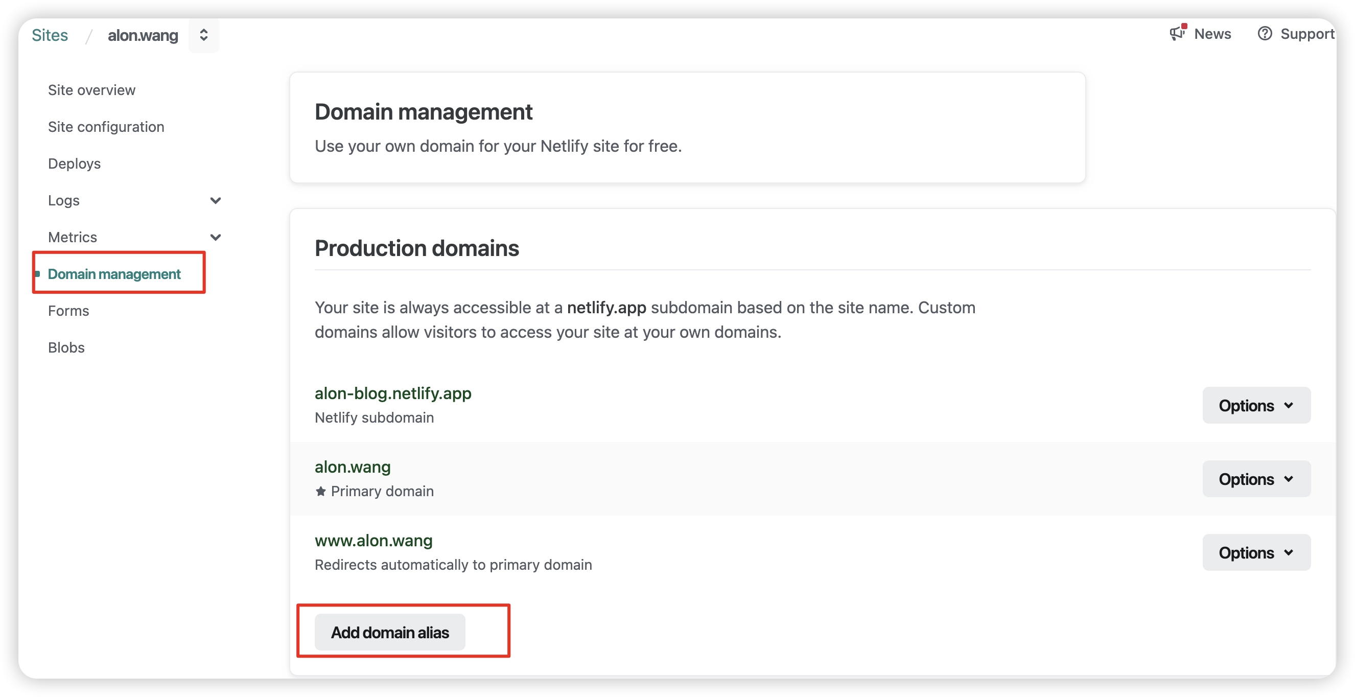 domain alias