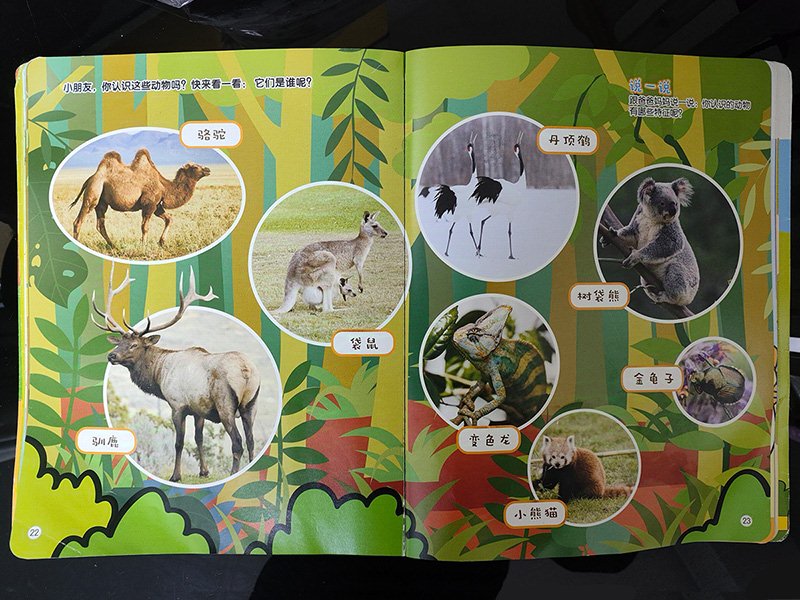 Little Animal Keeper