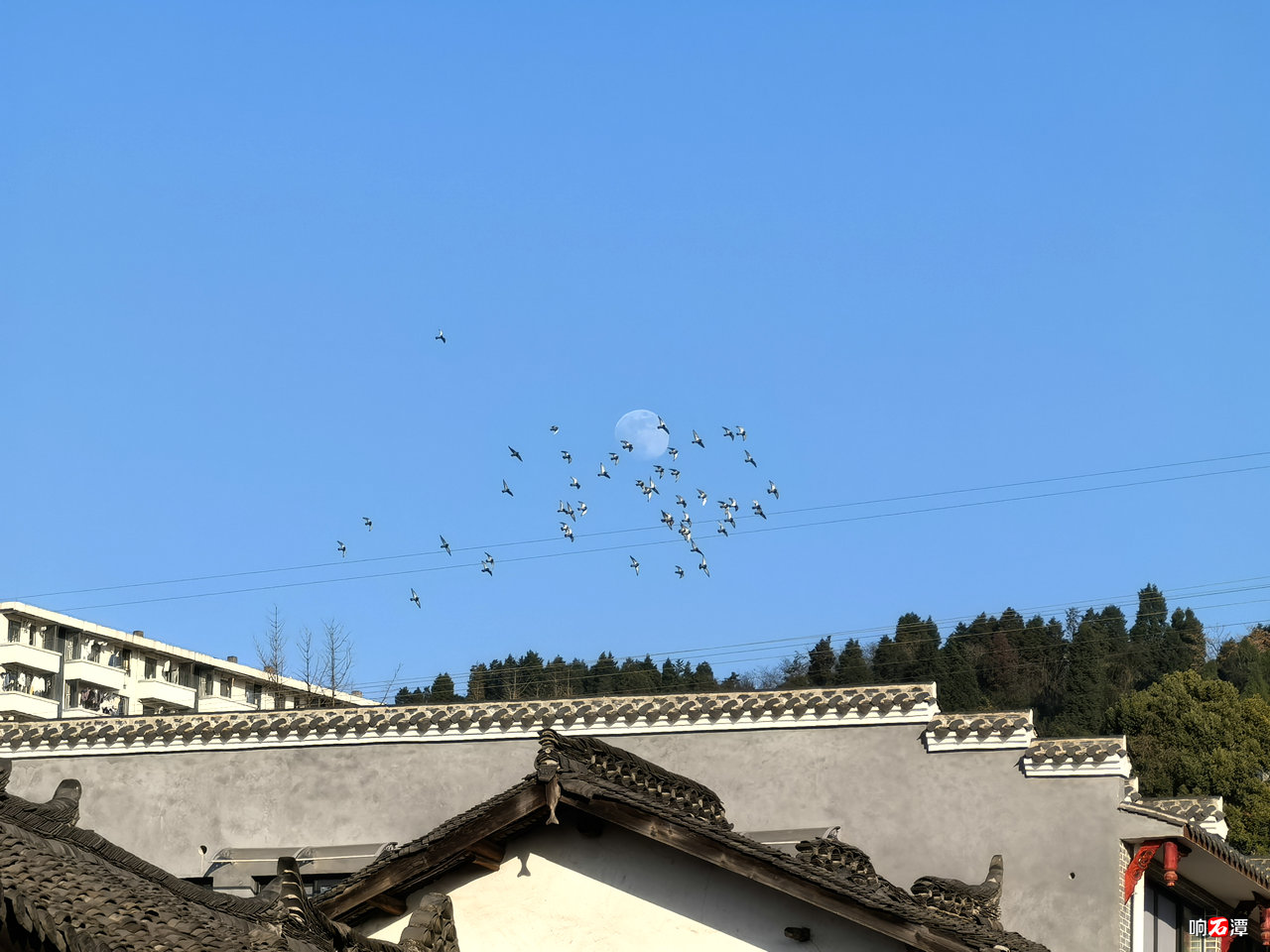 IMG_20250111_164757.jpg