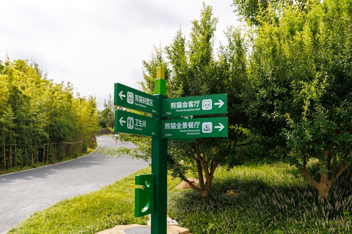 Panda at the Chengdu base